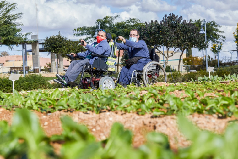 החווה החקלאית המונגשת הראשונה בישראל