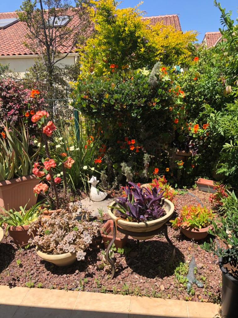 הגינה של יהודית בר-חן