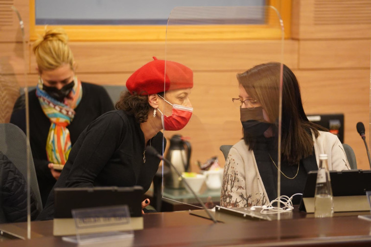 יעל רון ותהלה פרידמן בוועדת החוקה