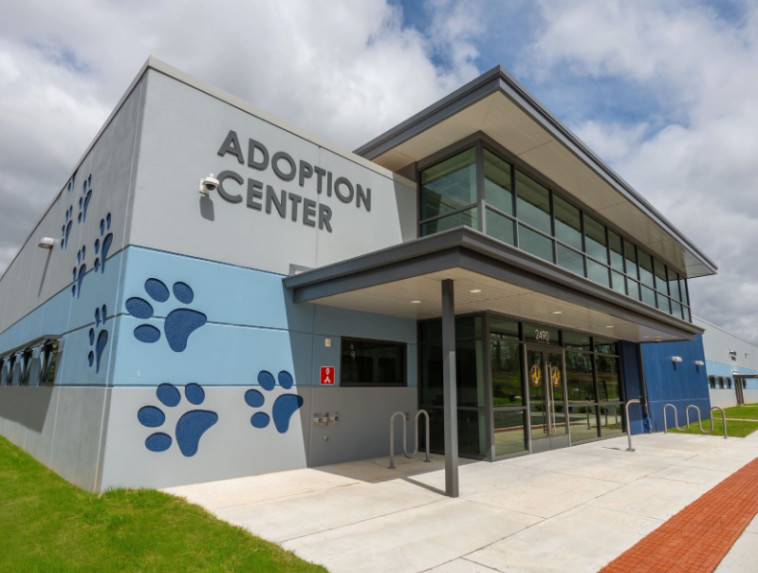 מקלט בעלי החיים BARCS Animal Shelter