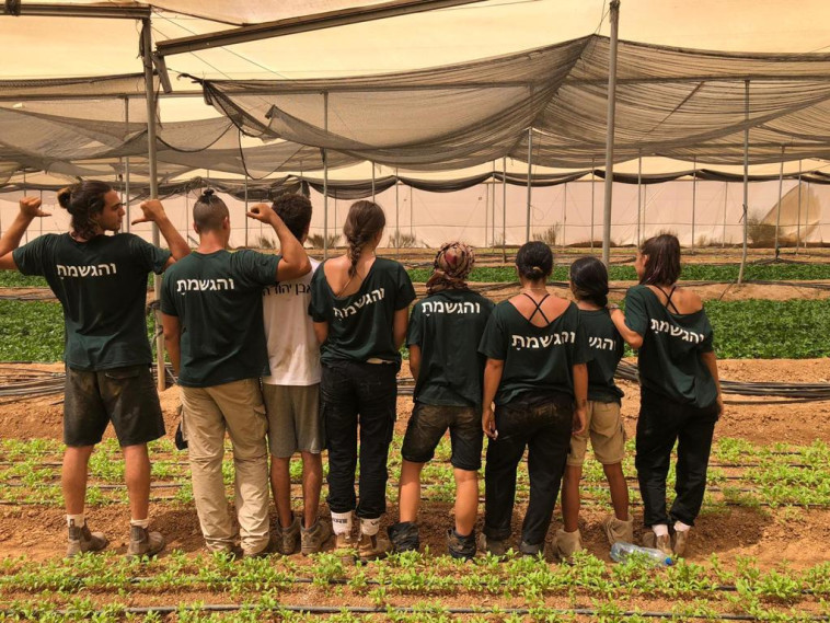 קומונת שמעה - קדמת צבי