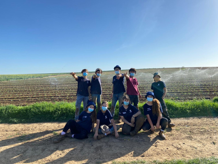 התנדבות בחקלאות בשנת שירות