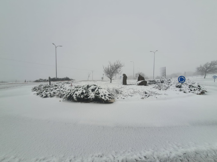 Snow in the Golan (Photo: Shlomi Gabay)