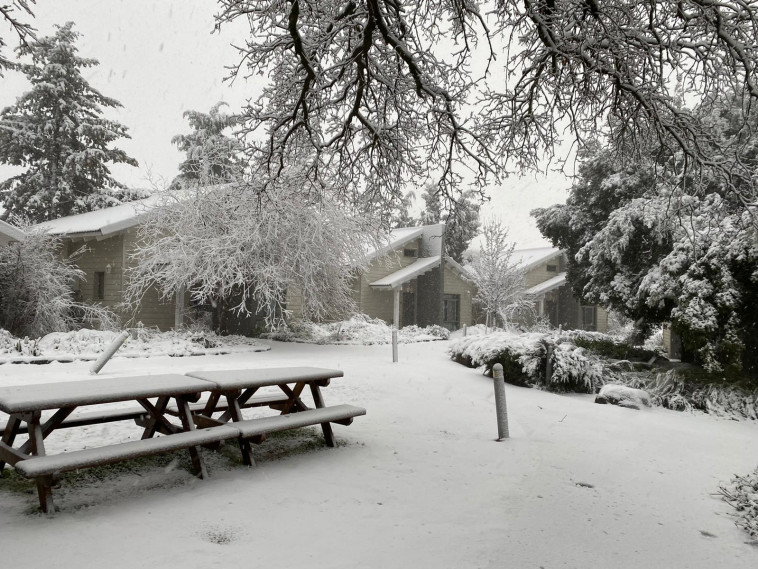 שלג בעין זיוון (צילום: עירית גולדנברג, כפר הנופש עין זיוון)