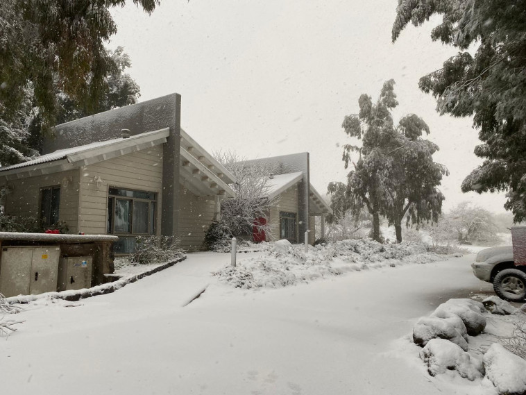 שלג בעין זיוון (צילום: עירית גולדנברג, כפר הנופש עין זיוון)