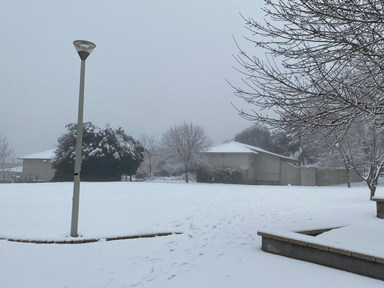 שלג בעין זיוון