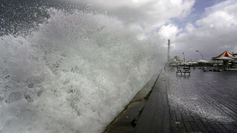 נמל ת''א הבוקר