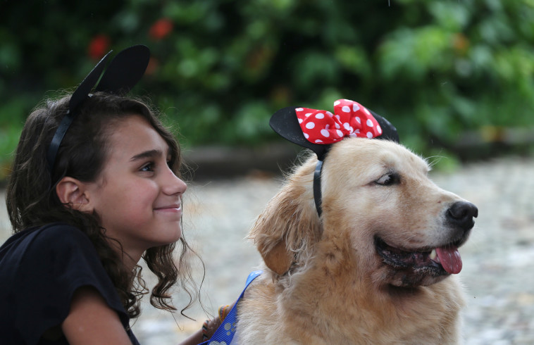 גולדן רטריבר מחופש למיקי מאוס