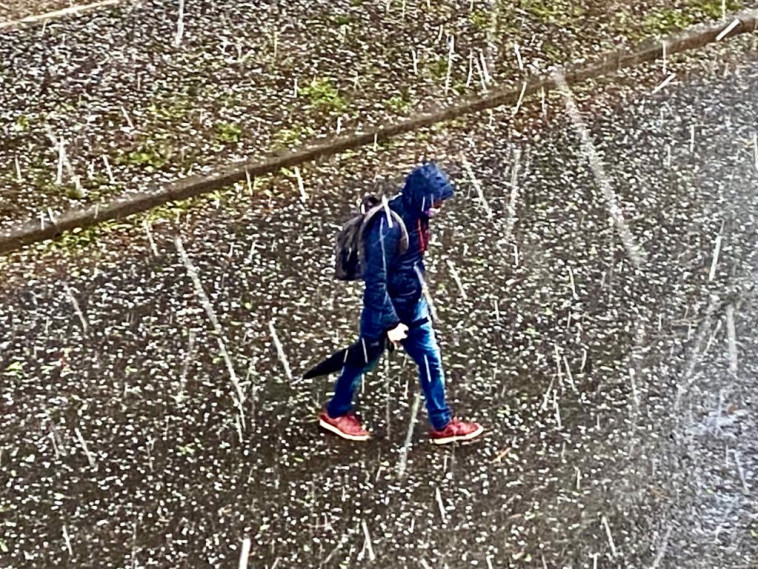 חורף, ברד בתל אביב