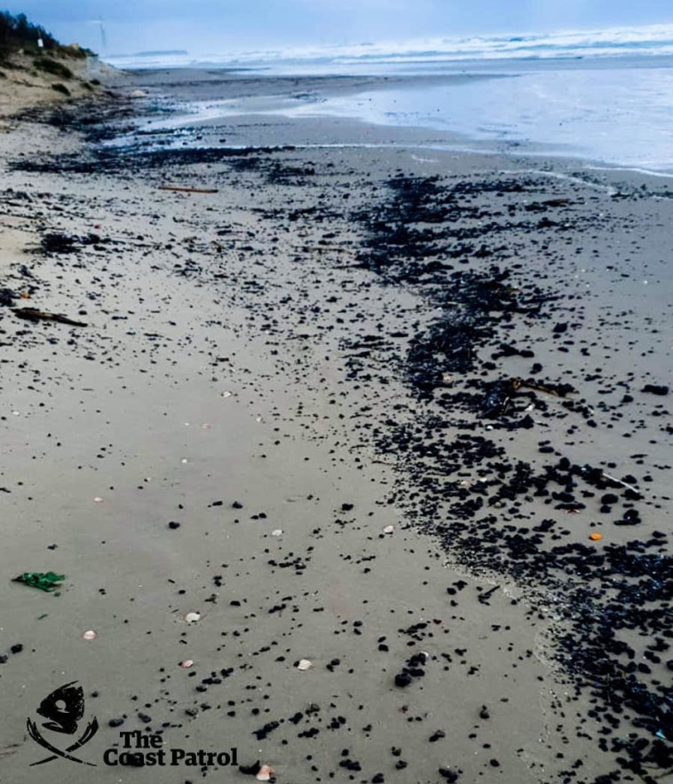 זפת טרייה על פני החוף (צילום: באדיבות עמותת ''צלול'')