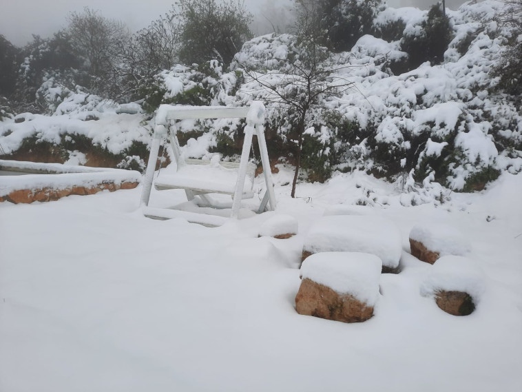 שלג בגוש עציון (צילום: ליאור שכטר)