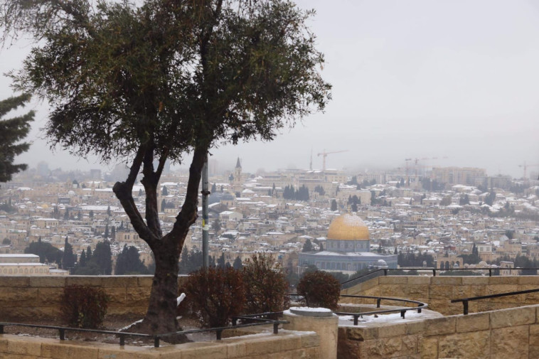 ירושלים בשלג (צילום: מארק ישראל סלם)