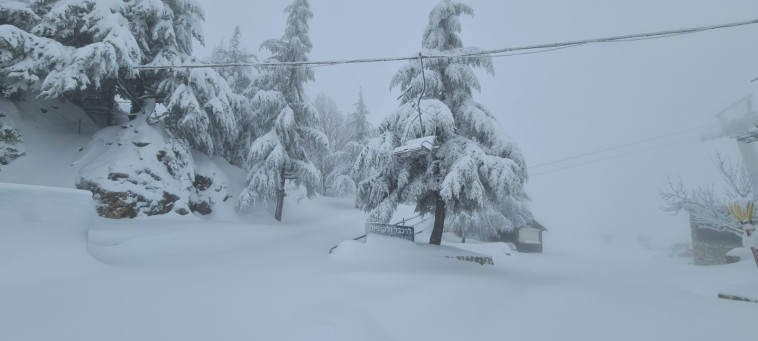 שלג באתר החרמון