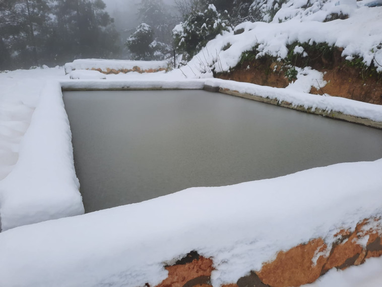 שלג בגוש עציון