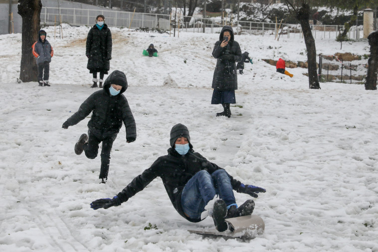 מטיילים בשלג בגן סאקר בירושלים