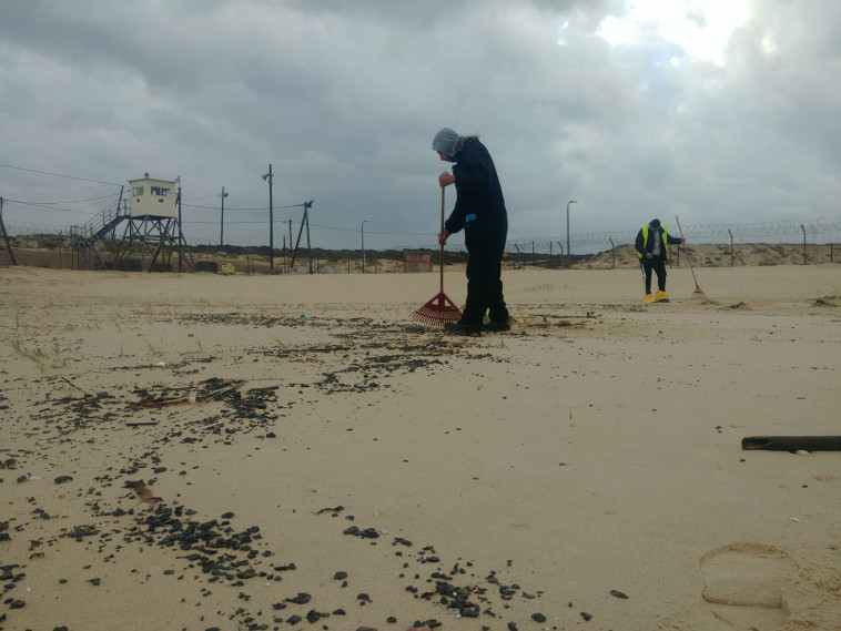 Cleaning at Rishon Lezion Beach (Photo: Dror Arieli, Ministry of Environmental Protection)