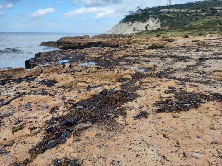 The tar event in Rosh Hanikra (Photo: Gidi Bettelheim)