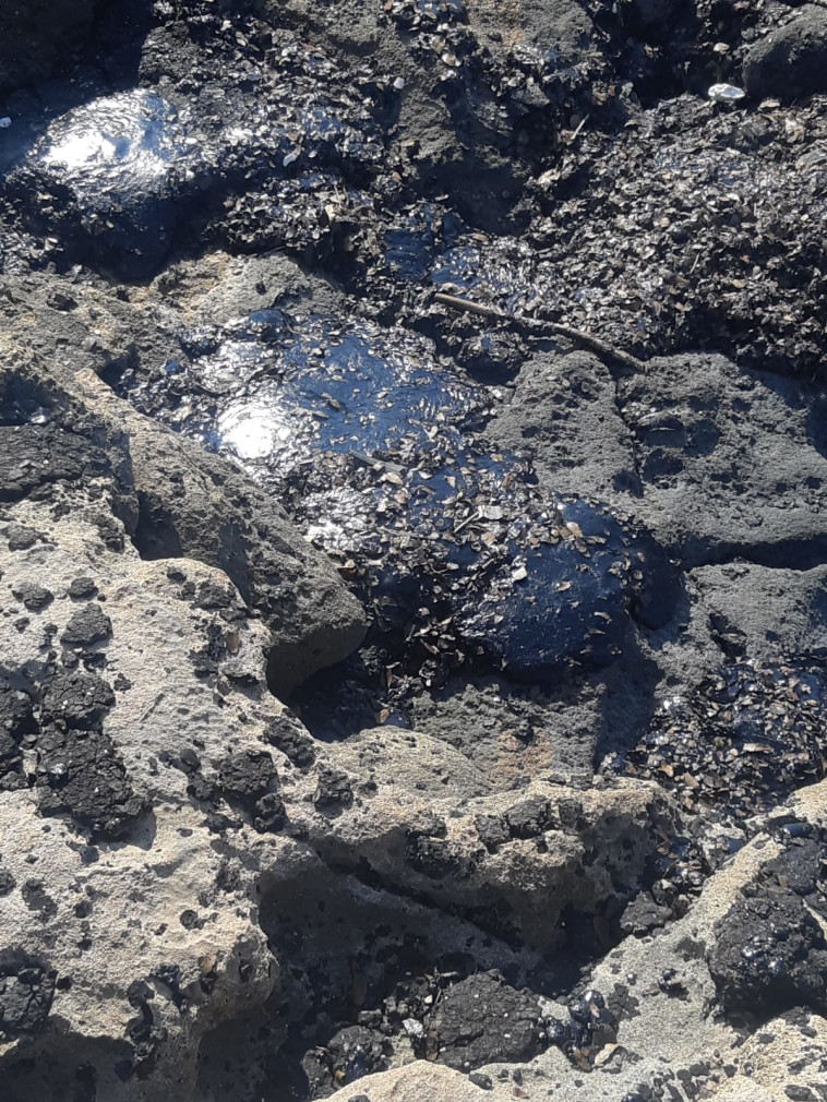 הזפת בחופי ראש הנקרה