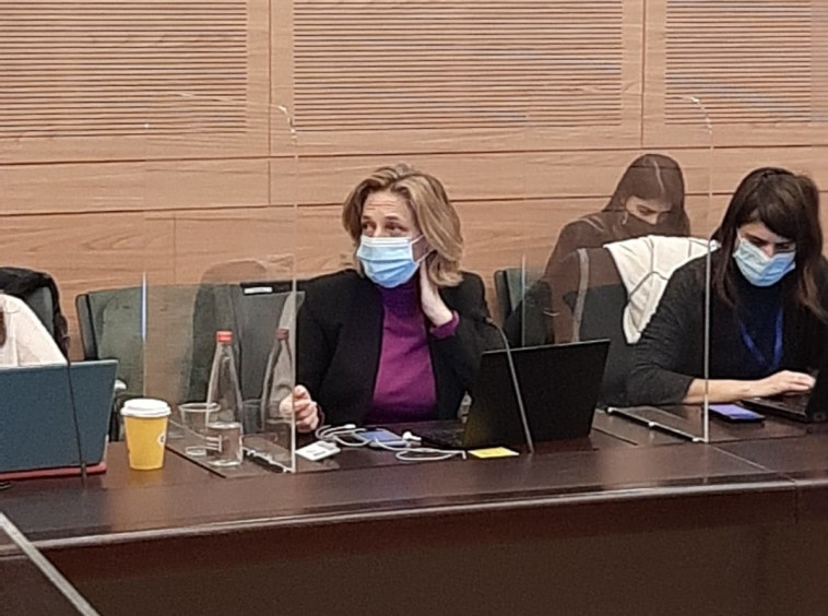 ד''ר שרון אלרעי-פרייס בוועדת החוקה