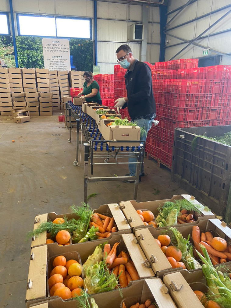 איסוף מזון של 'לקט ישראל'