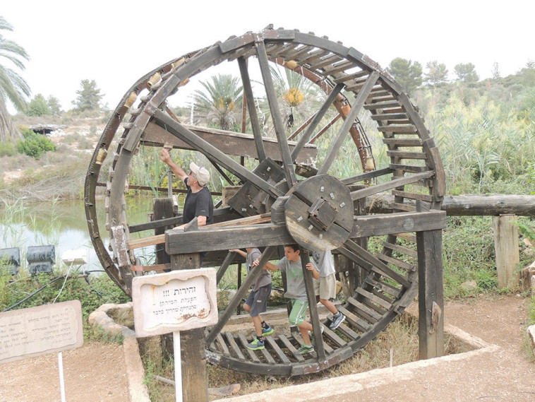 פורים בנאות קדומים