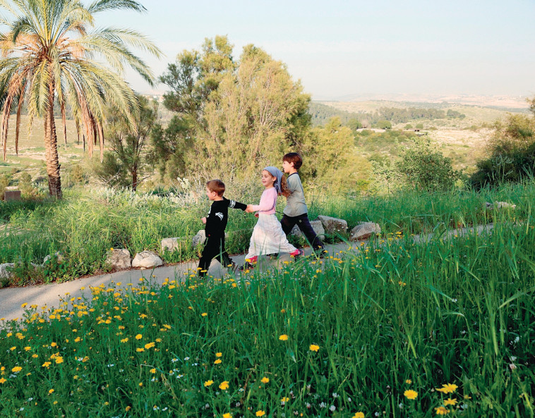 פורים בנאות קדומים  (צילום:  אלדד מאסטרו)