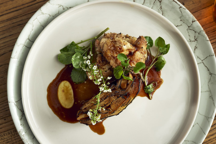 מקאלן והמנה של תומר טל