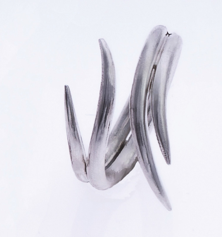 ענבר שטרית 358 שקלים