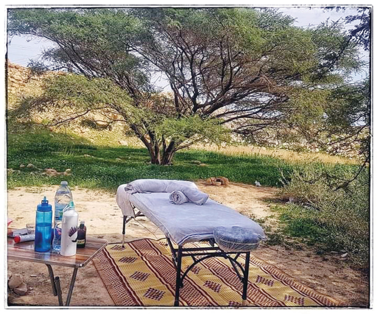 טיפול בנחל חצצון