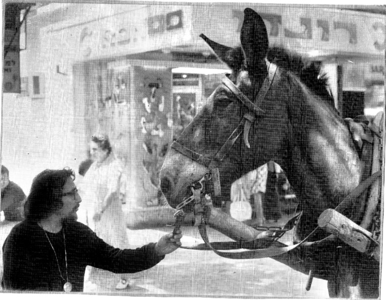 משה ברנשטיין הצייר