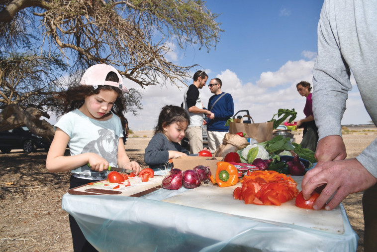 פסטיבל מהחממה לצלחת