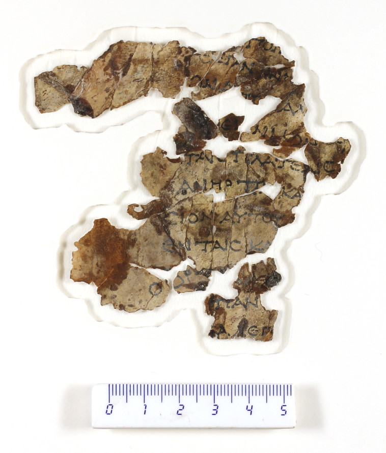 Parts of the scroll (Photo: Yaniv Berman, Israel Antiquities Authority)