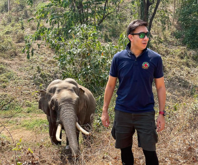 הווטרינר והפיל ת'אנג התאחדו