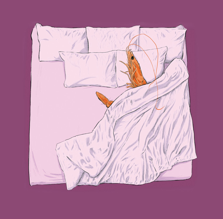 הטור של מרסל מוסרי