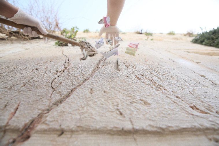 הוצאת הפתקים מאבני הכותל