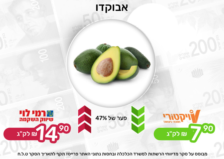 Avocado price comparison (Photo: Maariv Online)
