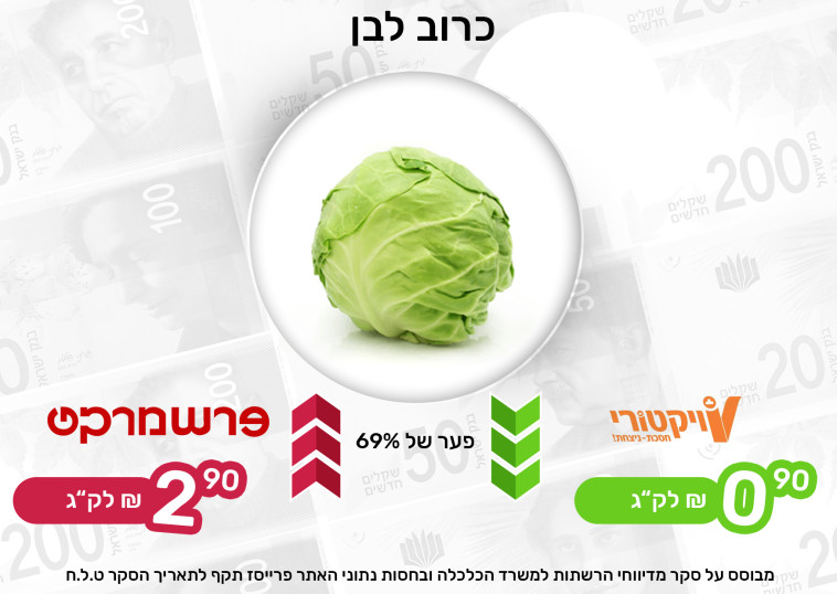 Comparing the price of green cabbage (Photo: Maariv Online)