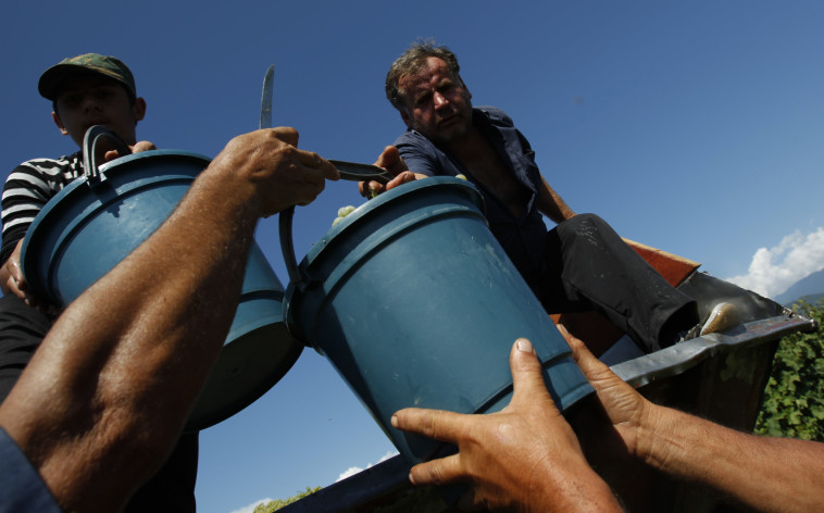 עובדים זרים גאורגיים