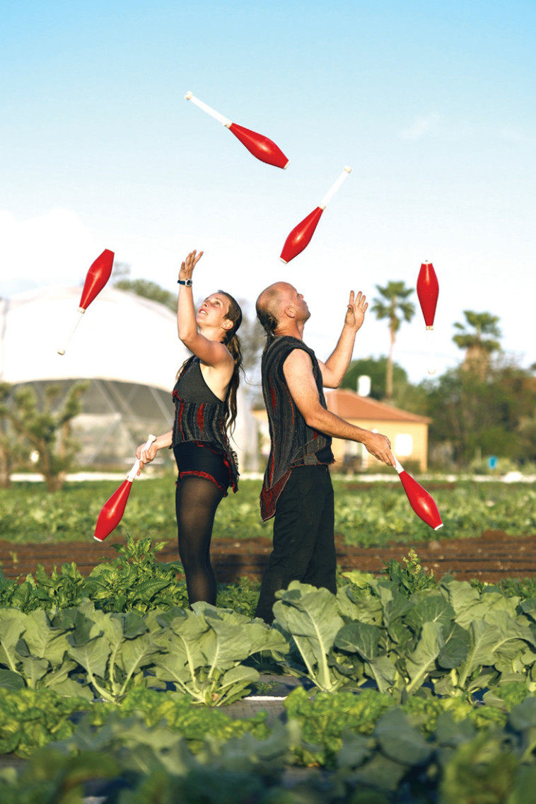 הקרקס החקלאי