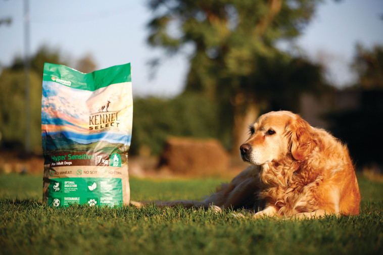 קאנל היפר סנסיטיב