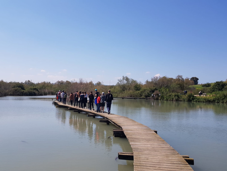 מטיילים בשמורת הטבע עין אפק 