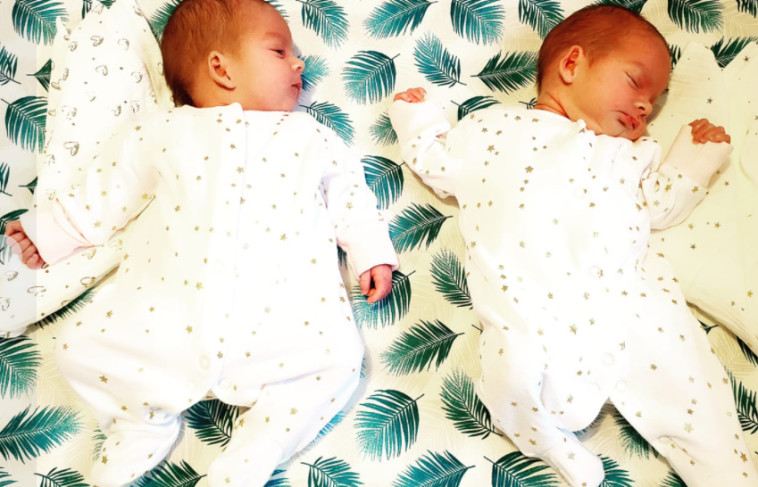 התאומות של אן מארי 