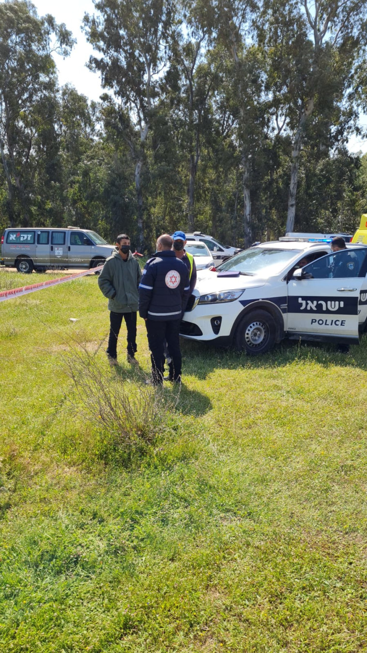 מקום הימצאות הגופה של שלמה מלכה