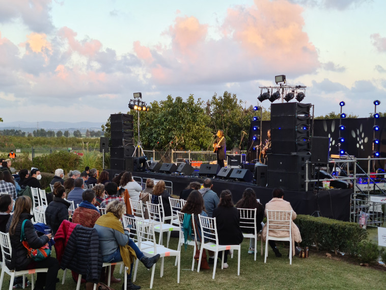 דניאלה ספקטור