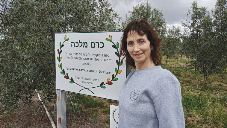 אילנה יוגב, מבעלי שמן יוגב