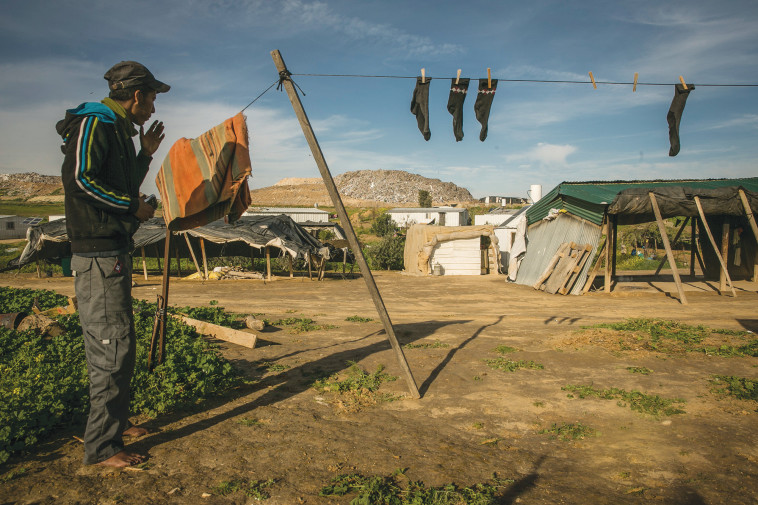 התיישבות בדואית בנגב