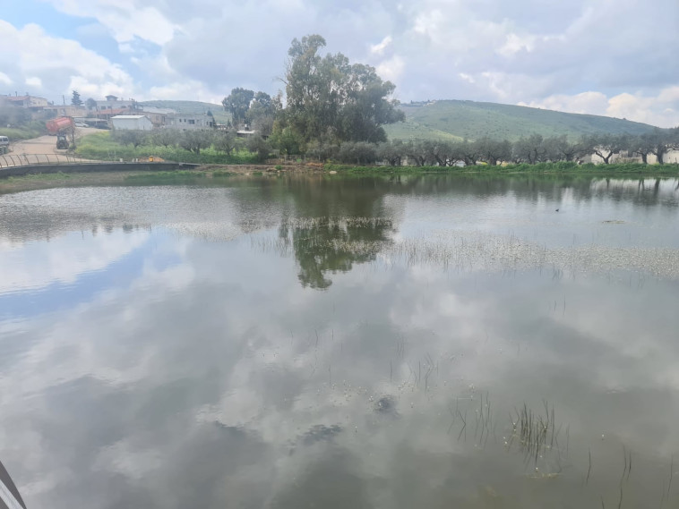 חוף מפרץ ארנון, כינרת