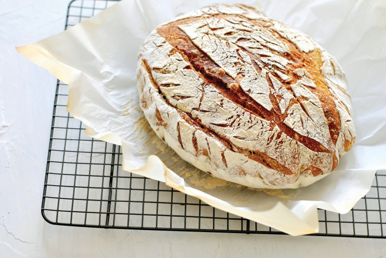לחם מחמצת (צילום: פסקל פרץ-רובין)