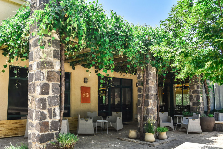 חצר יקב תבור