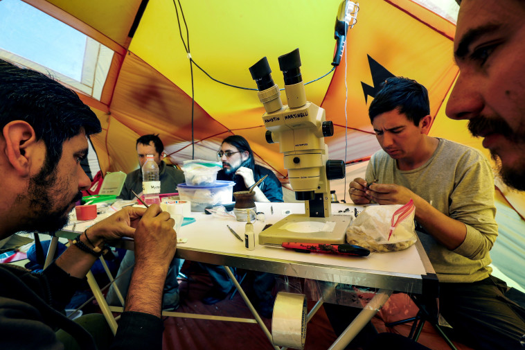 החוקרים בצ'ילה